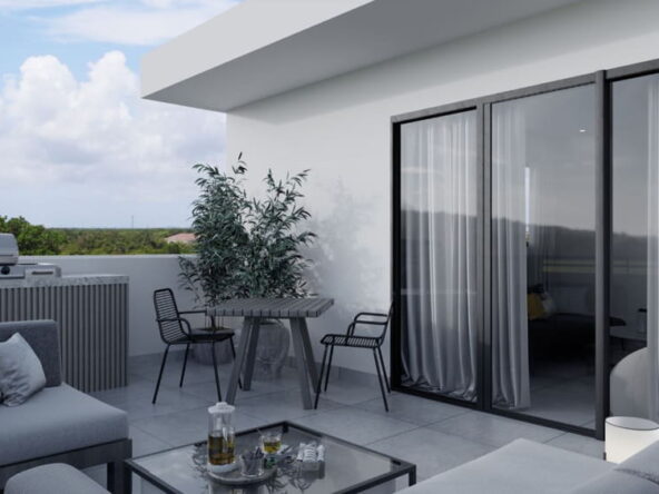 render. terraza parque del este